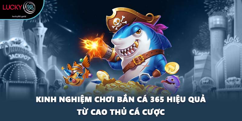 Kinh nghiệm chơi bắn cá 365 hiệu quả từ cao thủ cá cược