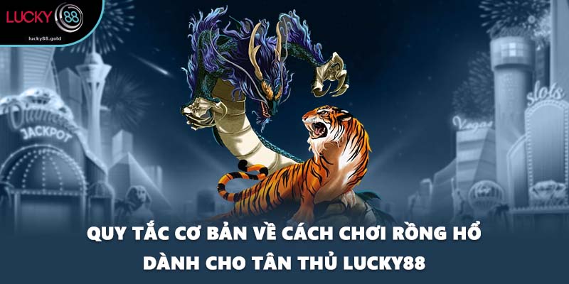 Quy tắc cơ bản về cách chơi Rồng hổ dành cho tân thủ LUCKY88