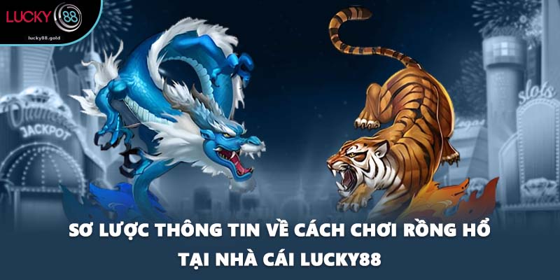 Sơ lược thông tin về cách chơi Rồng hổ tại nhà cái LUCKY88