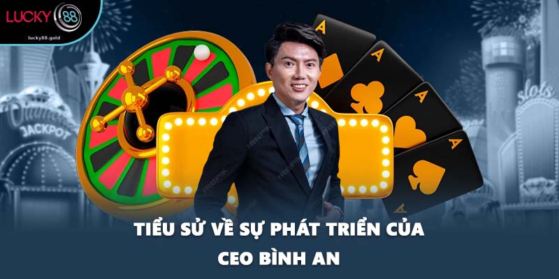 Tiểu sử về sự phát triển của CEO Bình An